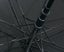 Golf Umbrella Black New Carousel 4