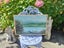 Original Signed Painting by Joy Friis (a/f) Carousel 1