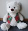 4 teddies to choose from sensory therapy weighted teddy Carousel 4