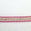 Pink Indian Trim Carousel 1