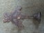 Vintage Cast Iron Rooster Door Bell Knocker Carousel 3