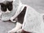 Pet Cat Bathing Bag Mesh Cloth Cat Grooming Bag Cat Supplies Washing Bags Grey Carousel 4