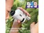 Mini Pocket Microscope Kit 60-120x Lab Handheld Microscope Battery Powered Carousel 4