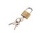 20mm Small Copper Lock With Keys Luggage Case Padlock Storage Lockers Padlock Carousel 3