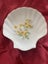 Shell Flora Plate Pearly White 11 cm Carousel 3
