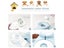 PTN NEW Pet Feeder Sale Sale Carousel 8