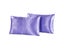 Pillowcase Pillow Cover Satin Hair Beauty Home Decor Cushions Carousel 5