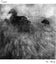 Loading Image 1 of 1
