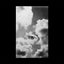Loading Image 1 of 1