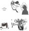 Loading Image 1 of 1