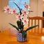 Orchid Blocks,608-Piece Building Set for Adults Carousel 7