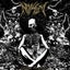 Noisem - Cease To Exist [VINYL LP] Carousel 1