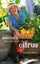 Sabrina's Juicy Little Book of Citrus By Sabrina Hahn (ISBN 9781921888984) Carousel 1