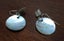 Silver Tone Mother of Pearl/ Abalone Dangle Earrings Carousel 4
