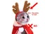 Christmas Hat Halloween Pet Costume For Cat Dog Puppy Costumes Scarf Gift New Carousel 5