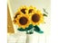 Hand Knitted Rose Bouquet Crochet Finished Knitted Flowers Gift Carousel 4