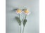 Hand Knitted Rose Bouquet Crochet Finished Knitted Flowers Gift Carousel 1