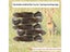 Hunting Dog Biting Toy Simulation Rabbit Interactive Dog Sound Toy For Training Carousel 7