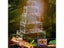 Acrylic Reptile Breeding Box For Spider Lizard Scorpion Insect Carousel 2