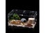 Acrylic Reptile Breeding Box For Spider Lizard Scorpion Insect Carousel 3