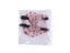 Pet Cotton Diaper For Farm Poultry Adjustable Washable With Bowknot Carousel 6
