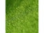 Artificial Turf Fake Grass Carousel 5