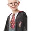Harry Potter Size 6 Boys Photoreal Gryffindor Hooded Robe Costume Dress Up Carousel 3