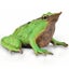 Loading Image 1 of 1