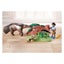 Playmobil Wiltopia Anteater Care Carousel 3