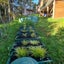 Building , Relocatable , Minor Dwelling...think Composting Waste Water Solutions Carousel 17