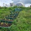 Building , Relocatable , Minor Dwelling...think Composting Waste Water Solutions Carousel 18