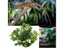 Artificial Vine Plant Leaves For Terrarium Decoration With Reptile Lizards Carousel 8