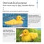 2.4Ghz RC Duck Boat Hunting Motion Remote Control Duck Boat Carousel 2