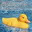 2.4Ghz RC Duck Boat Hunting Motion Remote Control Duck Boat Carousel 3