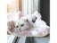 Cat Hammock Window Pet Bed For Cats Small Dogs Bearing 20kg Carousel 10