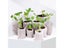 Biodegradable Nonwoven Fabric Nursery Plant Grow Bags Seedling Growing Planter Carousel 4