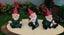 Gnomes for micro gardens (SKU G001) Carousel 13