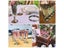 6Pcs 150ml Plastic Champagne Flutes Glasses Disposable Red Wine Glass Cocktail Carousel 4