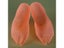 1 Pair Hard Plastic Foot Models For Stuffing Shoes Mannequin PVC Repeated Use Carousel 6
