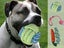 PTN NEW Dog Chew Toy Sale - Sale Sale Carousel 5