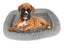 PTN NEW Dog Bed Sale Sale Carousel 8