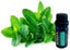 Spearmint Essential oil 200ml Purefx 100% pure Theraputic grade Carousel 1