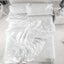 Queen Size Faux Silk Bedding Set Duvet Cover Flat Sheet Carousel 5