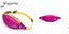 Outdoor cellphone Running Belt Waist Pack / 6 colors Carousel 3