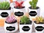 1 Roll 300Pcs Chalkboard Labels Carousel 2