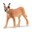 Loading Image 1 of 2