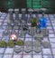 Dungeon Scatter Robagon Set #3 Gloomhaven Dungeons and Dragons dice4dungeons Carousel 3