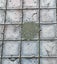 Dungeon Scatter Robagon Set #3 Gloomhaven Dungeons and Dragons dice4dungeons Carousel 5