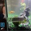 NEW new Aquarium Thermometer Meters Digital Fish Tank Reptile *Sale NOW* Carousel 5