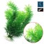 Brand New 4Pack Needle Leaf Aquarium Plant Decor UnderWater Grass*Hot SALE Carousel 8